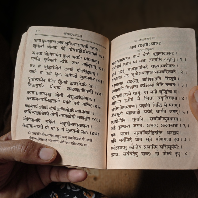 specialisation praticien ayurveda